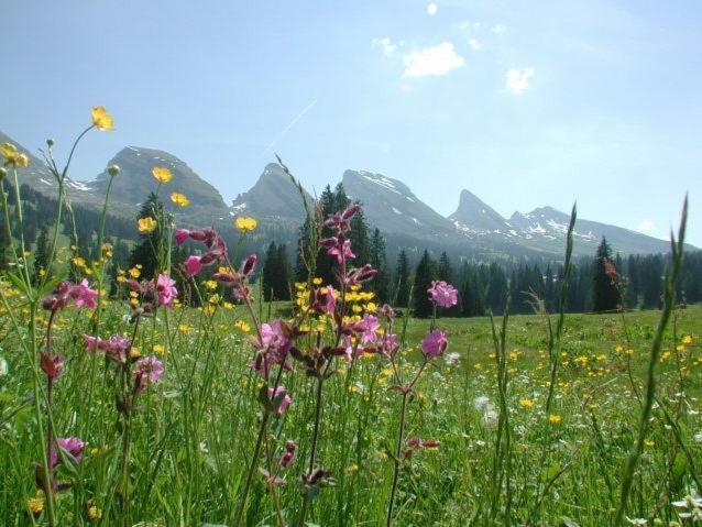 Hotel Hirschen Alt St. Johann Exteriör bild
